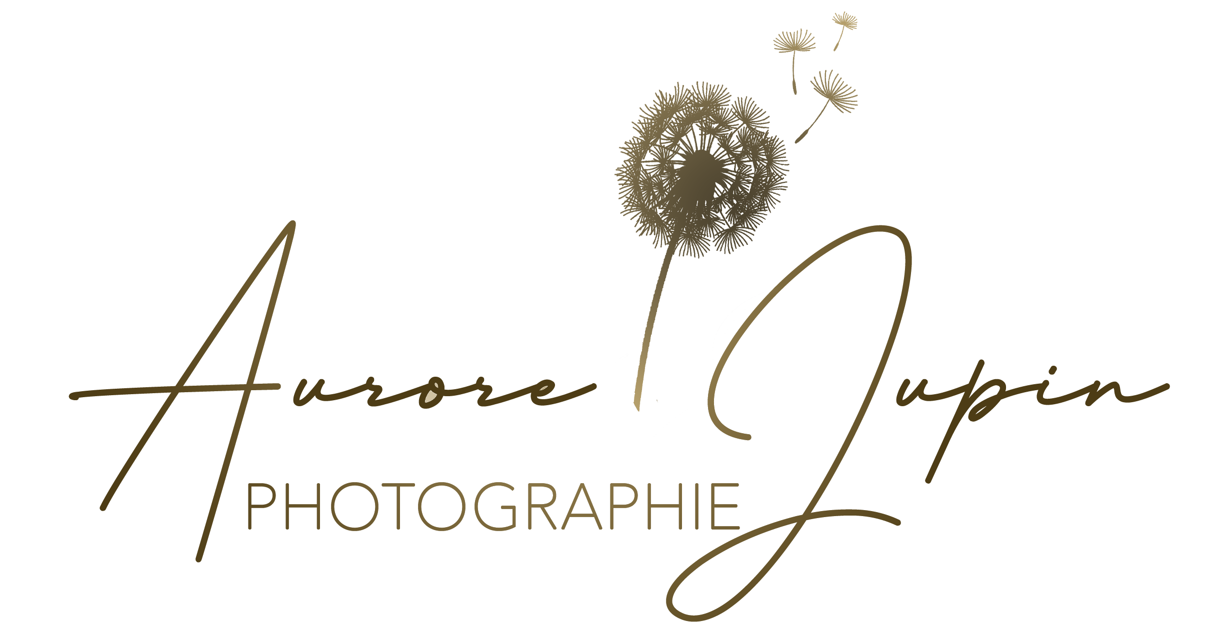 logo photo